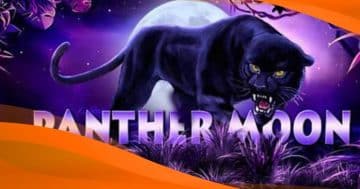 Panther Moon