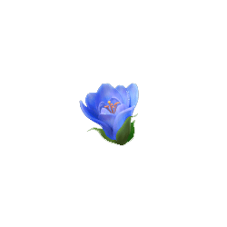 ดอกไม้สีน้ำเงิน เกม Butterfly Blossom